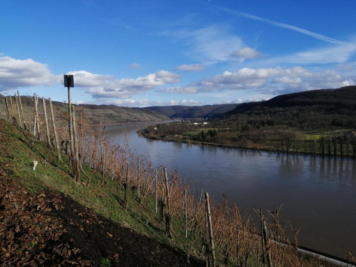 Pension Pauly Boppard Exterior photo